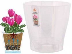 shop_items_catalog_image149737